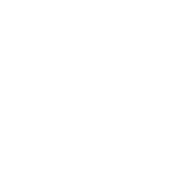 L&T